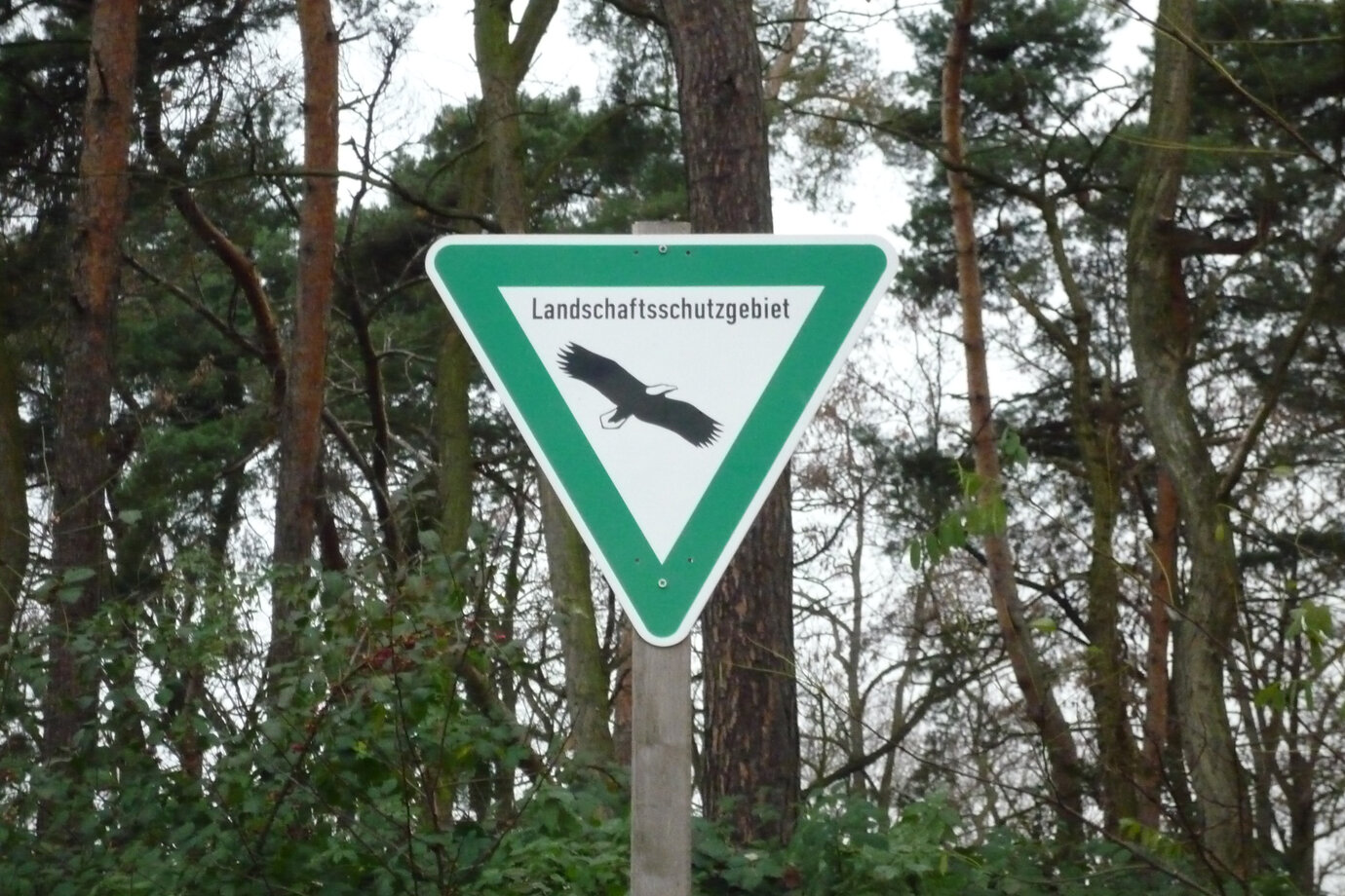 Bebauungsplan 66.26