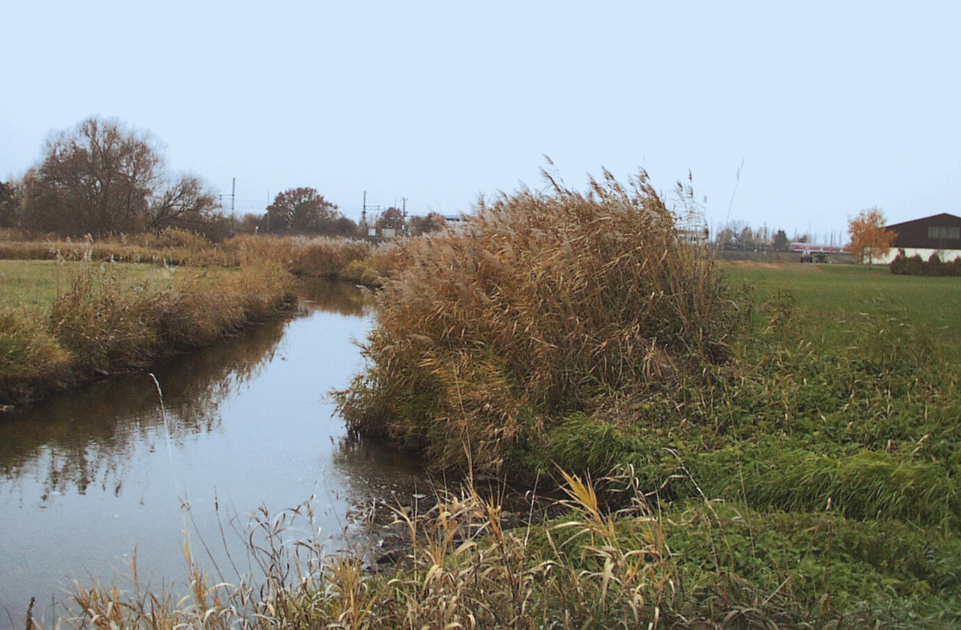 Vogelschutzgebiet